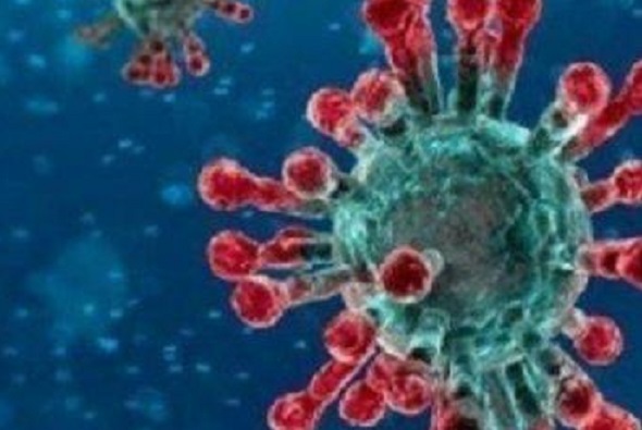 Virus Corona Sudah Bermutasi, 3 Jenis Baru Ditemukan di Asia