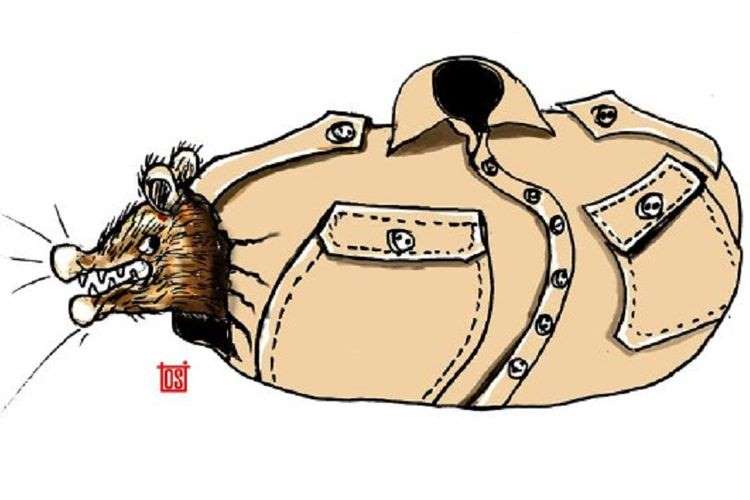 Demokrasi Vs Korupsi